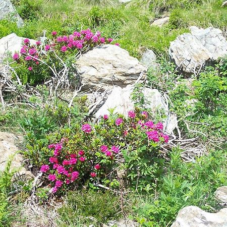 Agriturismo Cornei Da Nadia ξενώνας Collio Εξωτερικό φωτογραφία