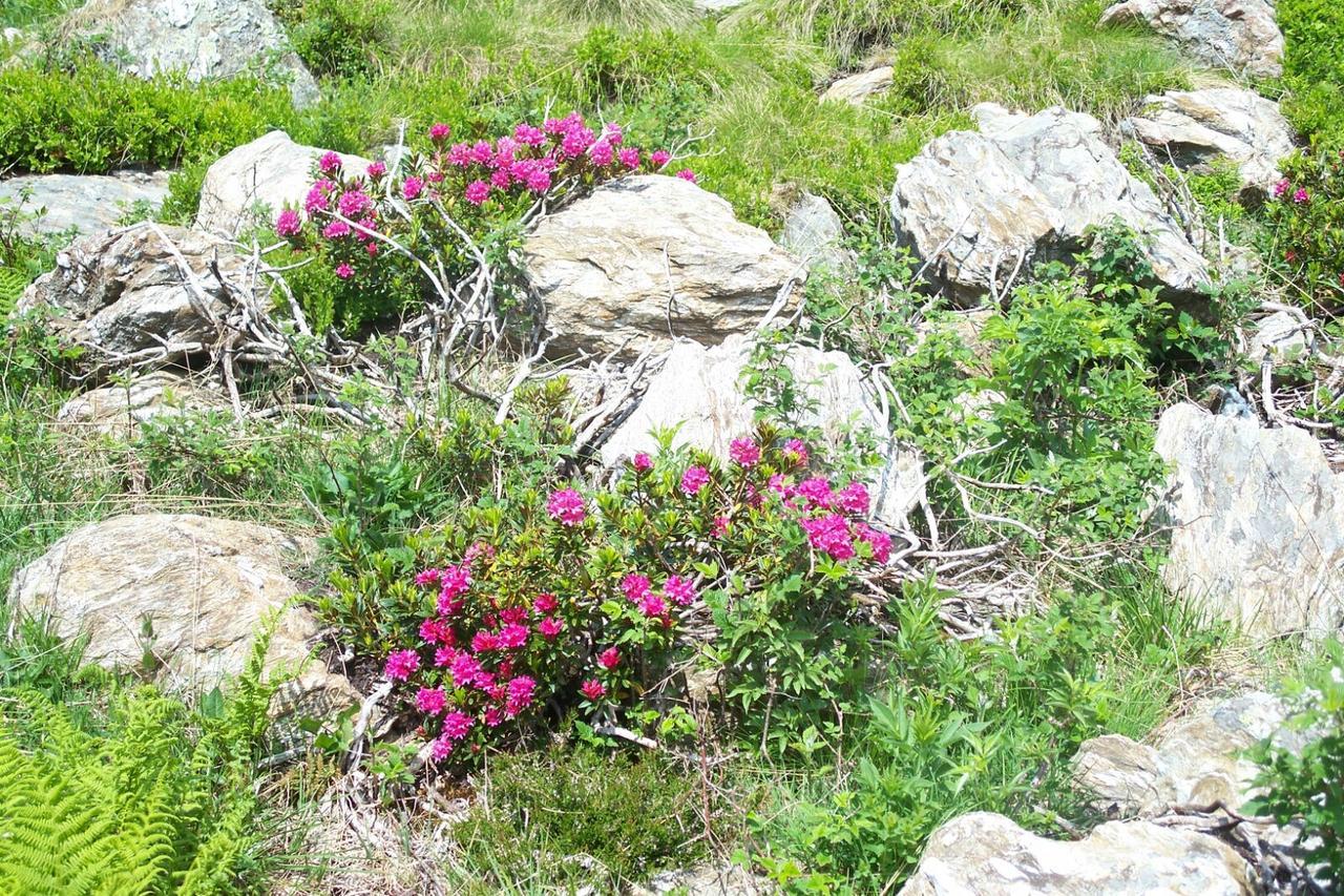 Agriturismo Cornei Da Nadia ξενώνας Collio Εξωτερικό φωτογραφία