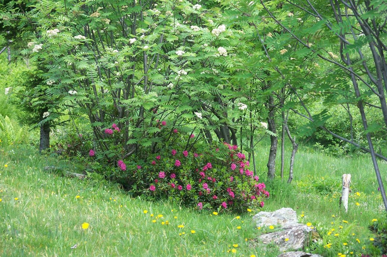 Agriturismo Cornei Da Nadia ξενώνας Collio Εξωτερικό φωτογραφία